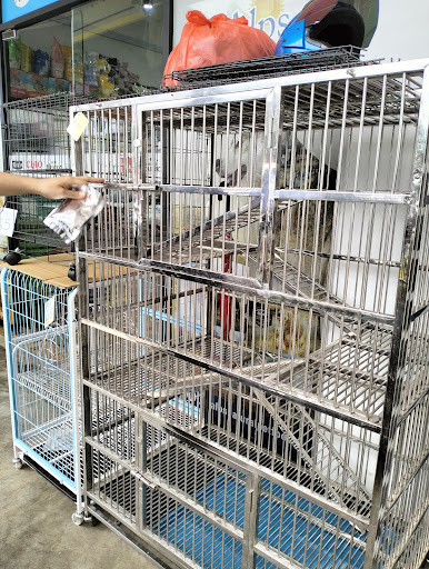 Stutong pet shop