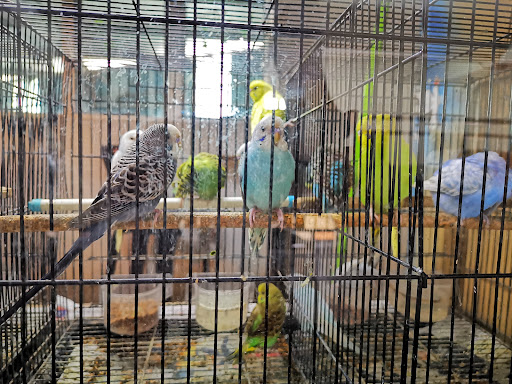 Ikia Aquaculture Technology Sdn Bhd