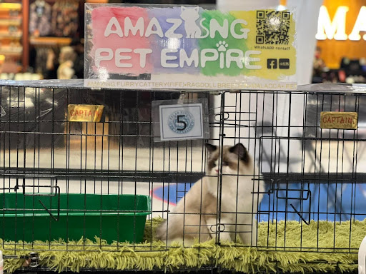 Amazing Pet Empire