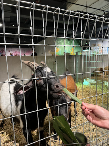 Just Farm @ Just Pets Megastore (Kota Damansara)