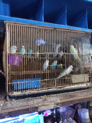 Manjung Aquarium Pets Centre (1P0155324-T)