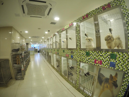 Pets for You Sdn Bhd