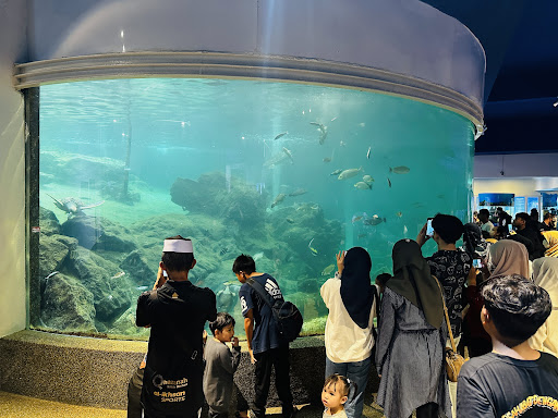 Akuarium & Muzium Marin