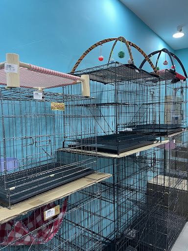 pets.twentyone @ Lotus's Bukit Tinggi Klang