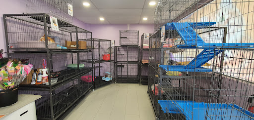 Cats Hometown - Pet Shop, Cat Food & Litter, Cat Grooming @ Persiaran Raja Muda, Klang