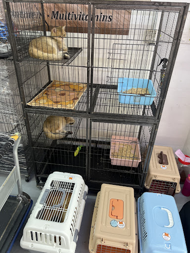 CB CAT HOUSE KAPAR - PET SHOP, CAT FOOD, GROOMING AND CAT HOTEL @ KAPAR, KLANG