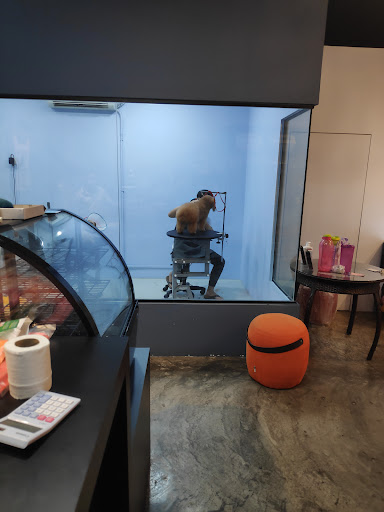 Super Pet Shop