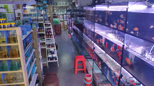 Notypets Aquatics, Aquariums & Pets World