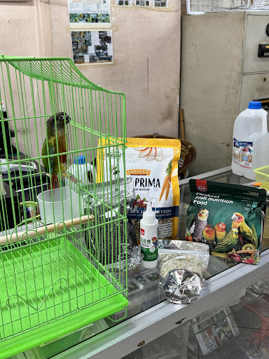 Macau pet trading