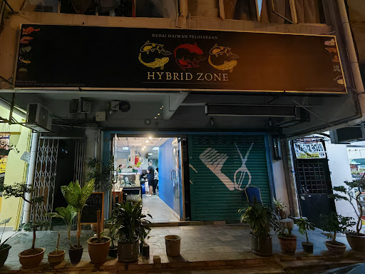 Makkau Reptile • Hybrid Zone