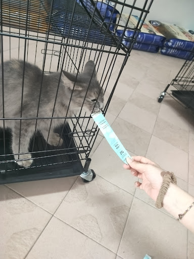 D&C PET SHOP