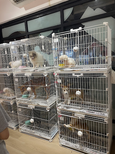 JC Puppy House Penang