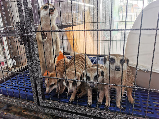 CLM Aquarium & Pet Shop