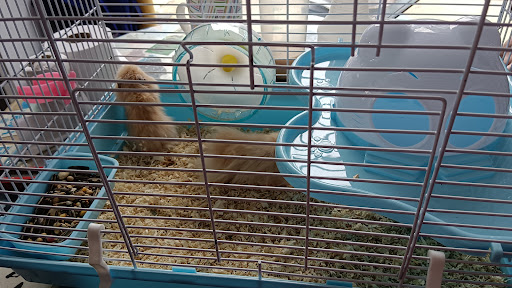 Kimly Aquapets