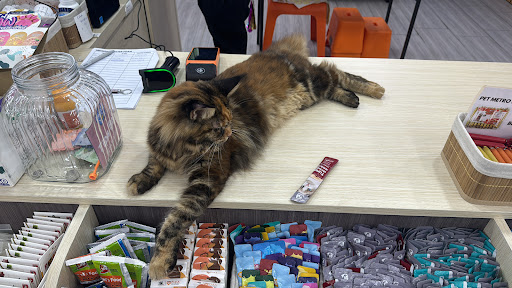 JJ Pet Shop Miri @ Pujut