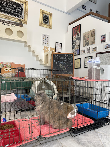 Catsville Pet Shop