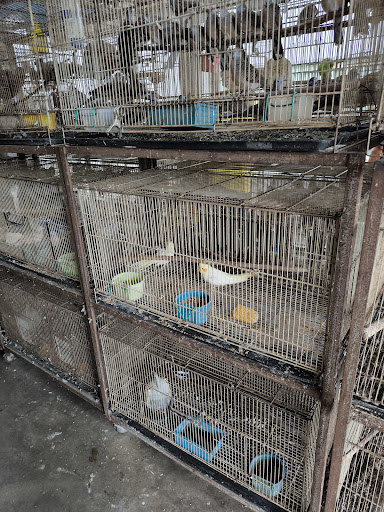 PETANI PETS SHOP