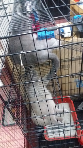 Kedai Haiwan Peliharaan Hezza