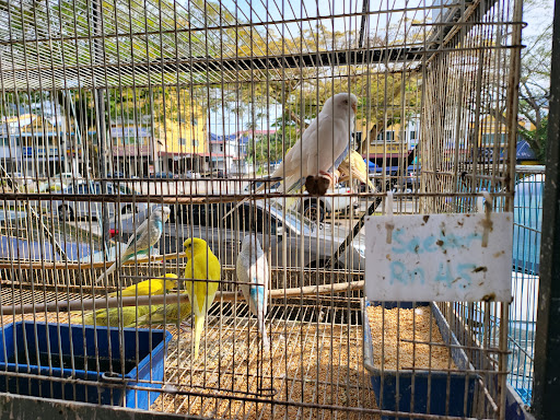 Long Hua Aquarium