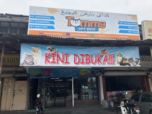 Tommy Pet Shop