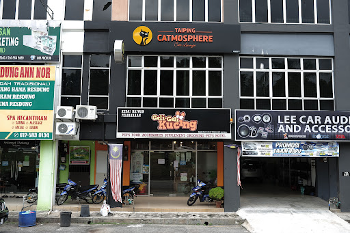 Geli Geli Kucing - Taiping
