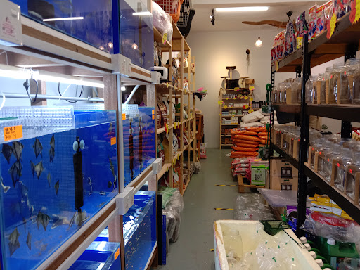 Rio Pets Store
