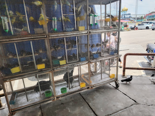 Kedai Ikan Dan Burung Ming Yang
