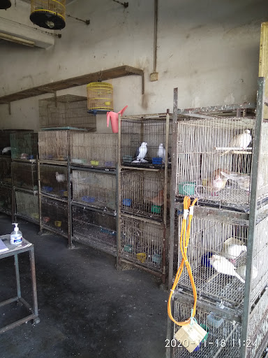 kedai burung dan haiwan perliharan Zaidah