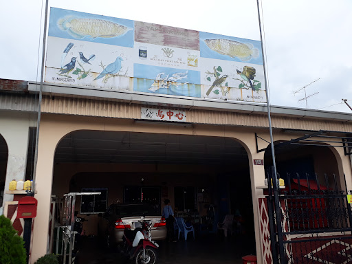 Yap Trading