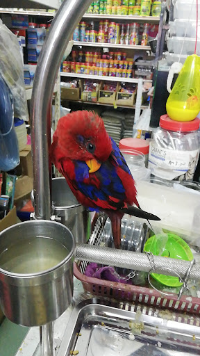 Aston Aquarium & Pet Shop