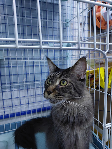 XIANG LOONG AQUA PETS (NILAI)