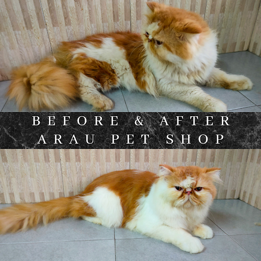 Arau pet shop