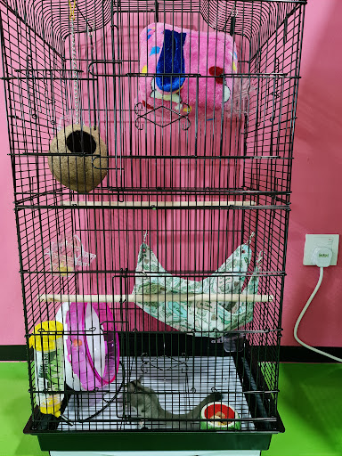 Cyberjaya Loving Pets Grocery & Hotel