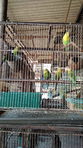 Kedai Burung Pokok Asam