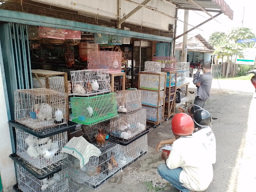 Kedai Burung Melaka