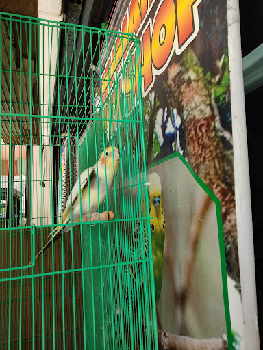 Humaira Pet Shop