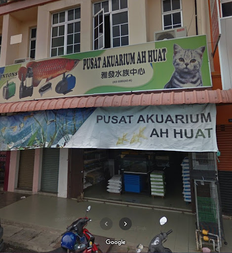 Pusat Akuarium Ah Huat