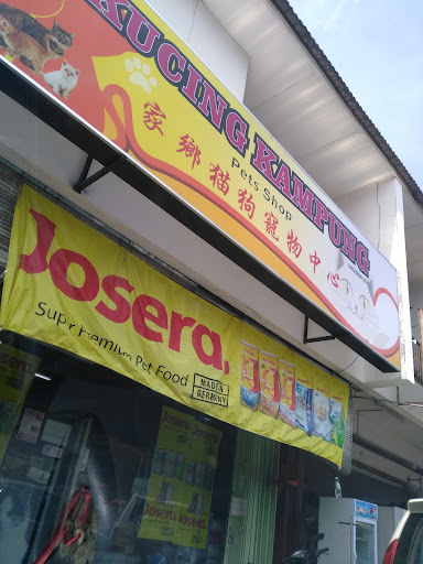 Kucing Kampung Pets Shop