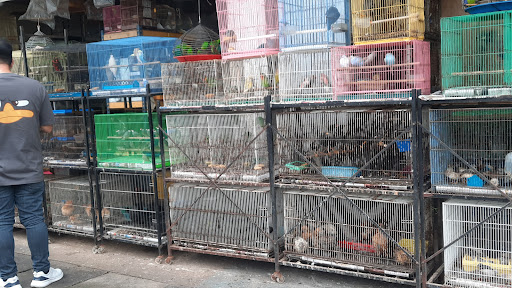 Kedai Burung Wong