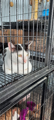 JJ Pet Shop Kuching @MJC Batu Kawa