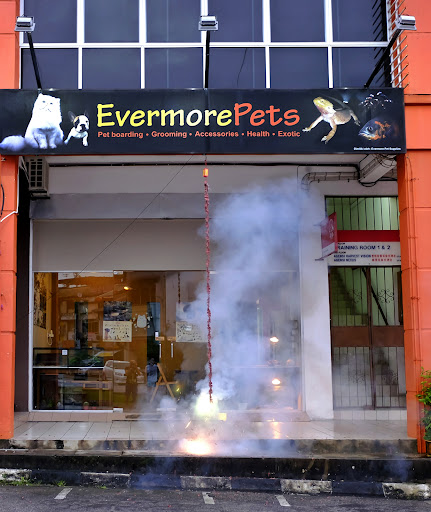 Evermore Pets
