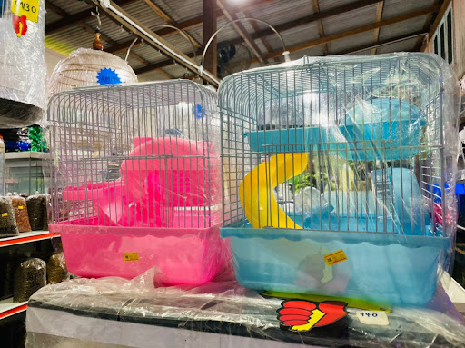 Gong Badak Petshop and Aquarium