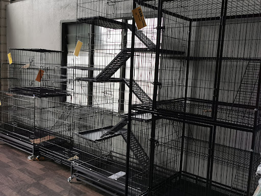 Eppy Cat House (Durian Burung) - Pet Shop Kedai Kucing