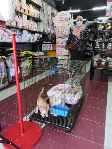 Eppy Cat House (Ladang HQ) - Pet Shop Kedai Kucing
