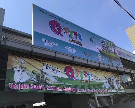 Q Pets Cat Grooming Salon Kuala Terengganu