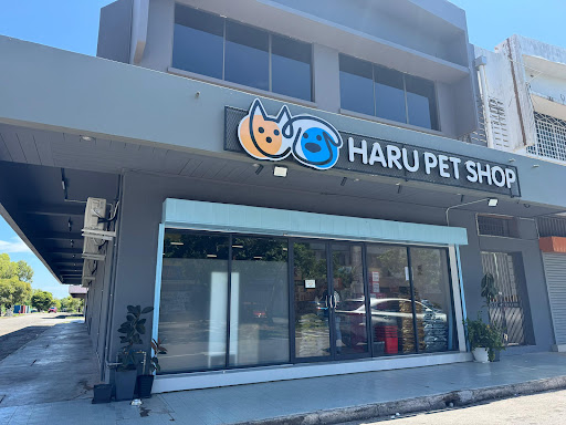 Haru Pet Shop