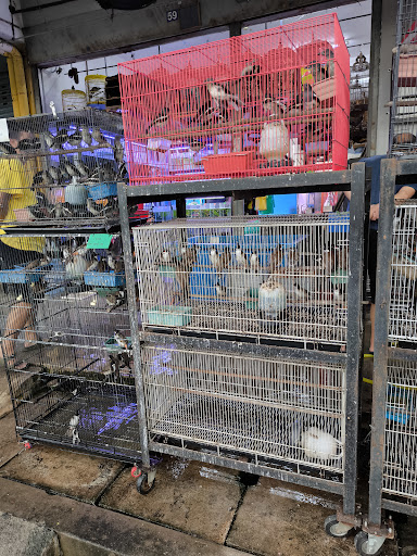 Kedai Burung & Ikan 328