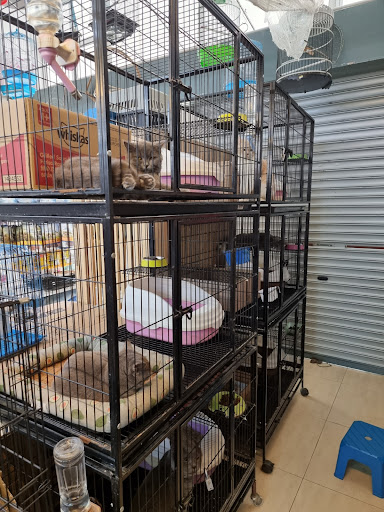 Mun Siang Aquarium & Pets Accessories (Main Branch)
