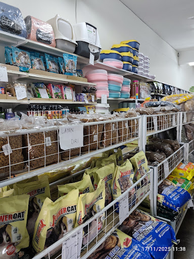 HELLO CHUBBY STORE