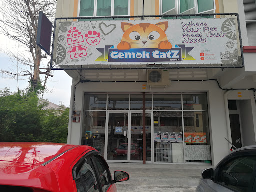 GEMOK CATZ